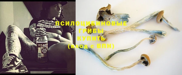 дмт Нягань