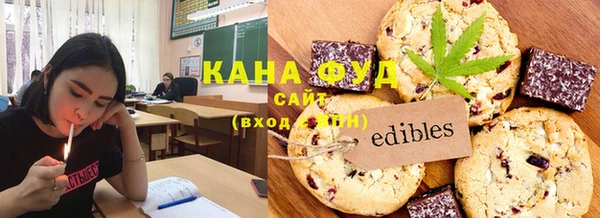 дмт Нягань