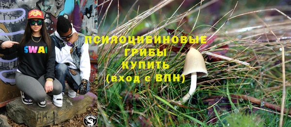 дмт Нягань