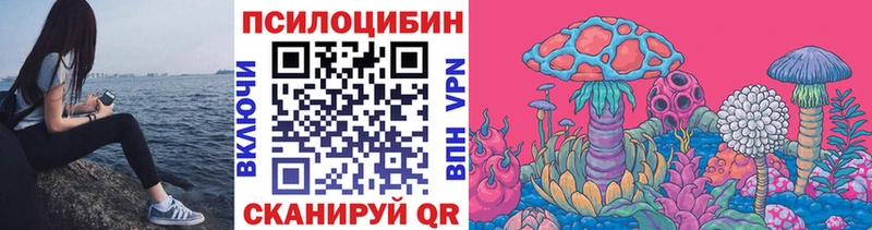 Псилоцибиновые грибы Psilocybe Сурск