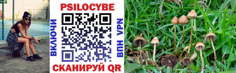 KRAKEN сайт  купить закладку  Сурск  Галлюциногенные грибы Psilocybe 
